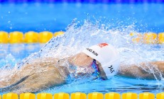 开云在线赛事平台-绝境中的双重奏，瑞典队翻盘日本队，樊振东带队取胜的启示