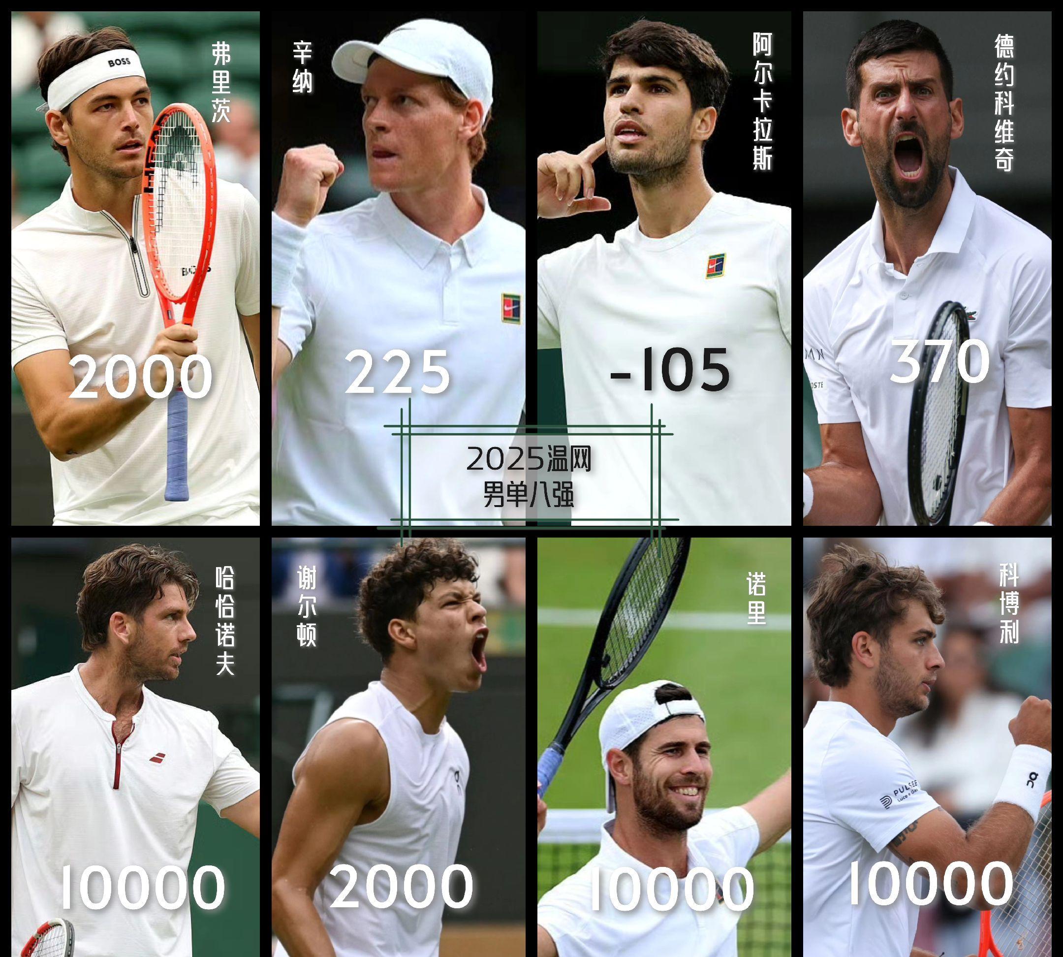 美网鏖战温网,蒂姆统治全场的简单介绍 美网鏖战温网,蒂姆统治全场的简单介绍