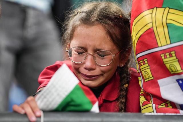 包含法国队成功晋级欧锦赛强，赢得球迷支持的词条