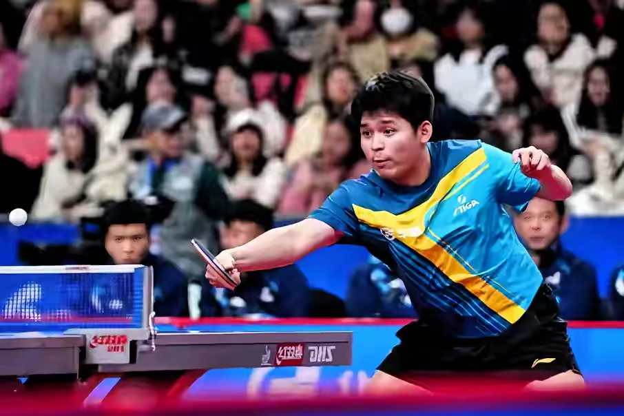 法国乒乓球队碾压比利时乒乓球队，樊振东绝境逆转的简单介绍
