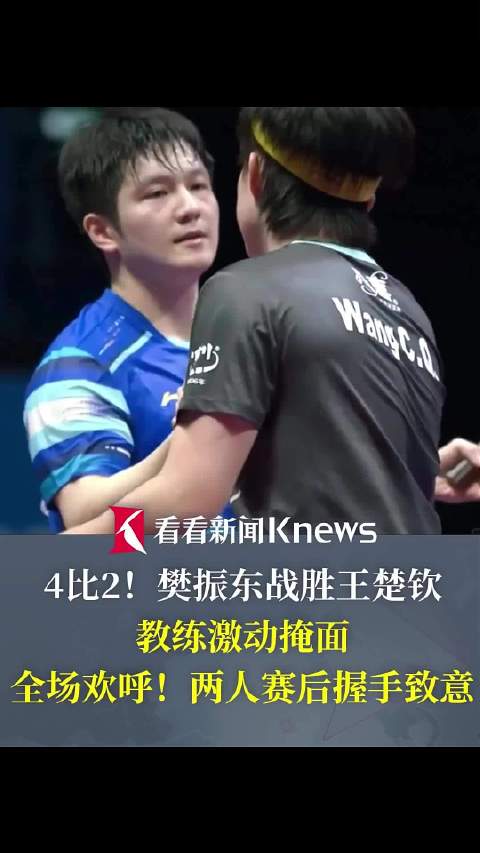 瑞典乒乓球队绝地反击英国乒乓球队，樊振东制霸全场的简单介绍