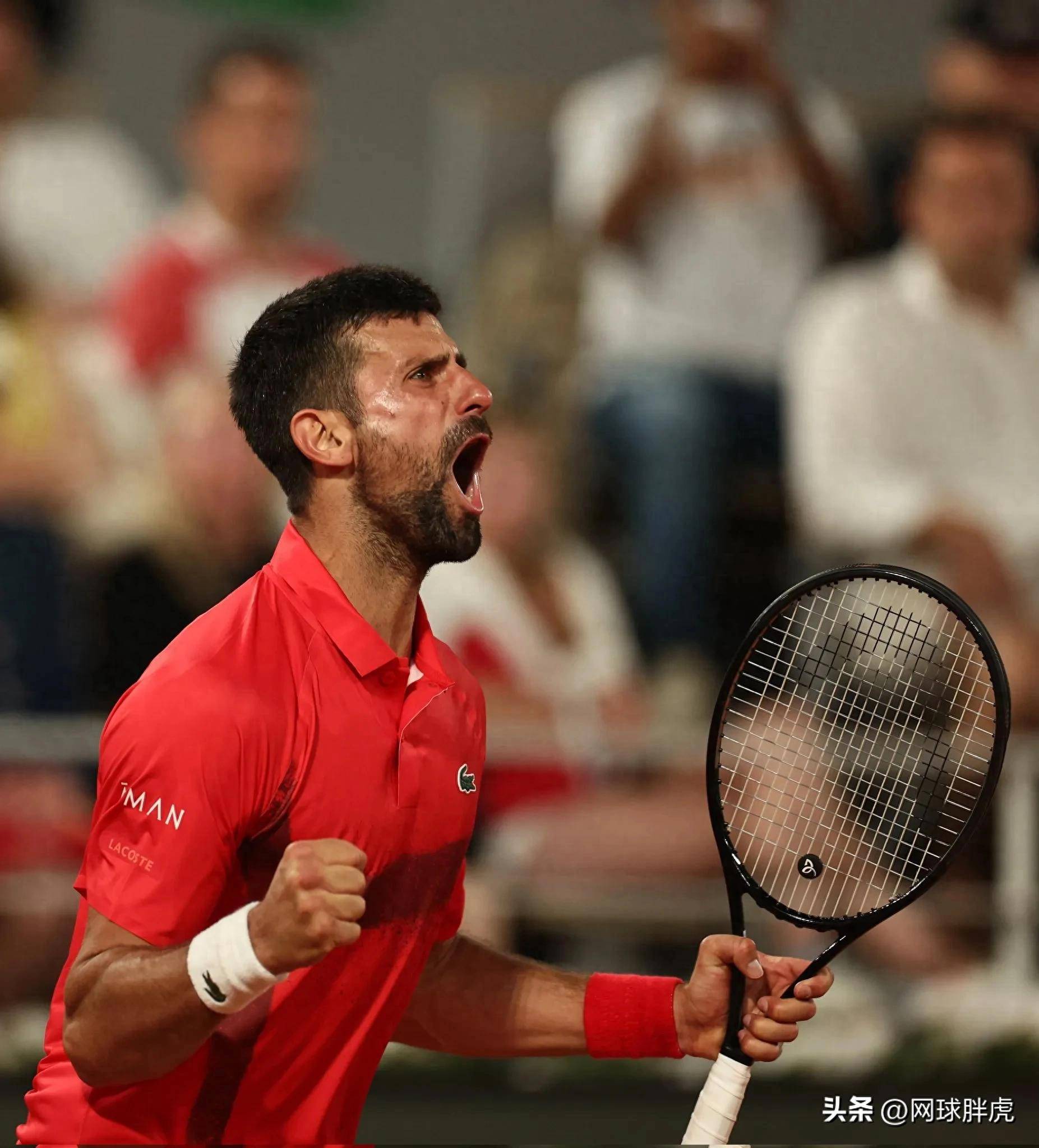 关于西班牙网球队逆转德国网球队，德约科维奇惊艳世界的信息