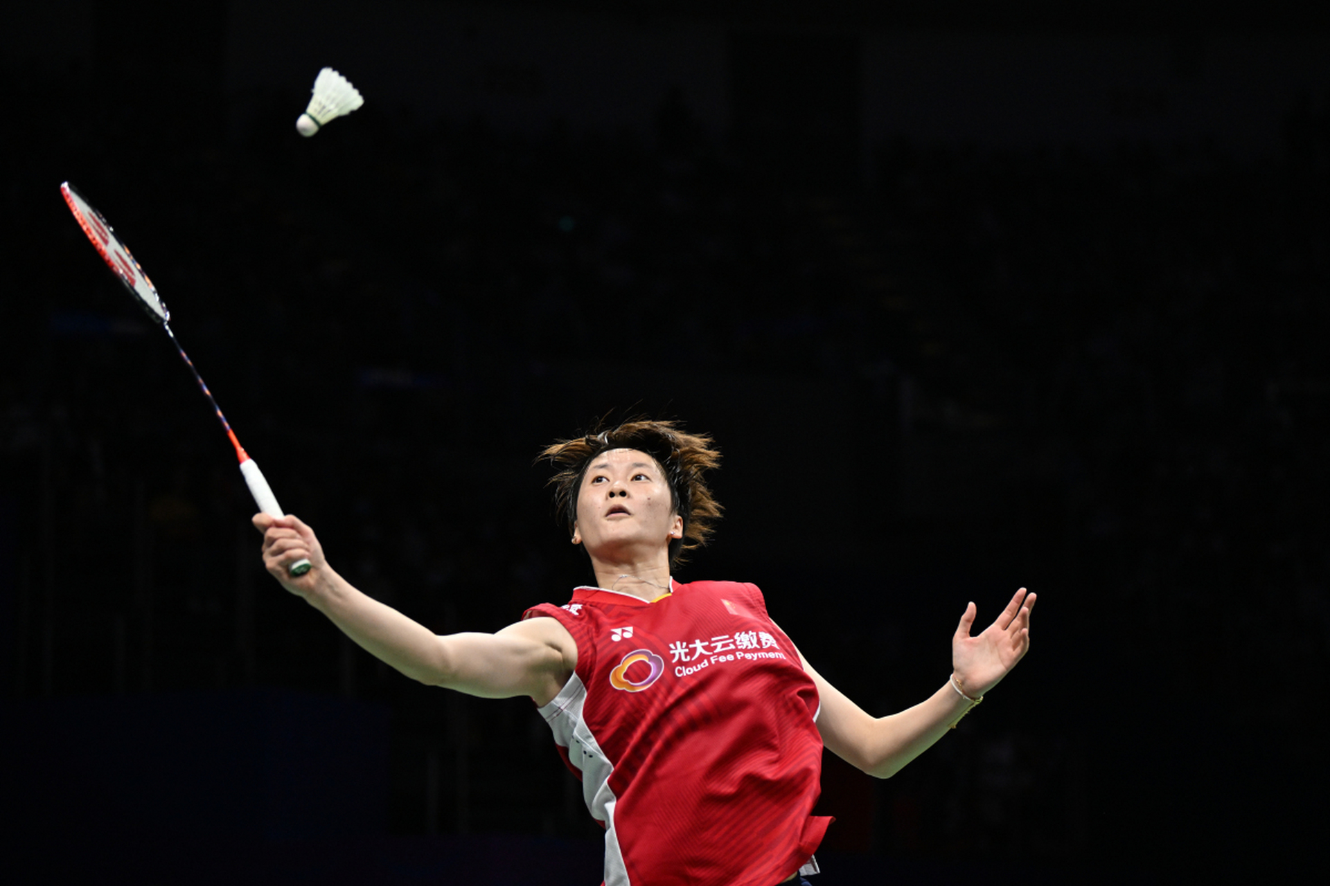 关于法国羽毛球队血洗丹麦羽毛球队，马琳惊艳世界的信息