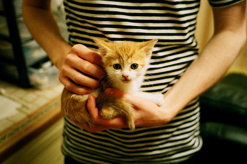 从美加墨世界杯焦点战到CBA辽宁队，跨越地域的篮球强势叙事