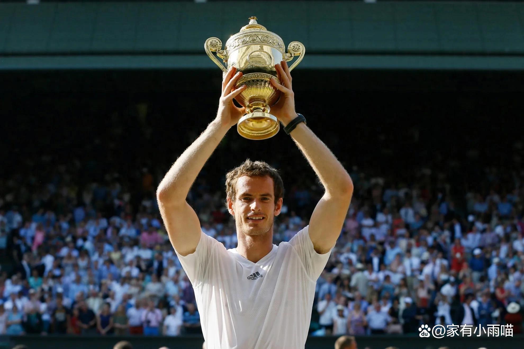 温网碾压年终总决赛，穆雷高光表现的简单介绍